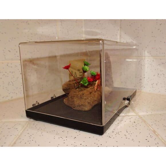 Vintage Craft Wood Original Creations Desert Scene Diorama horse cactus wood - Picture 3 of 16